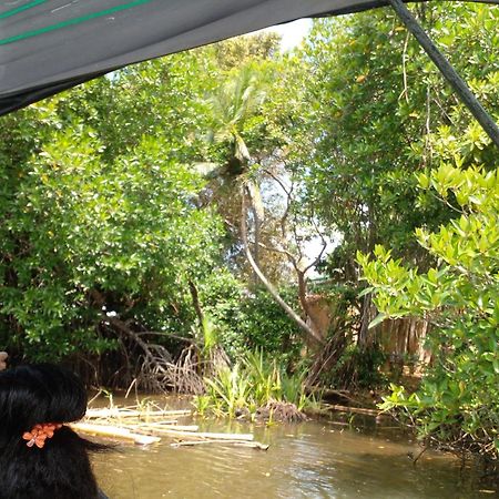 Star Home Stay Bentota Luaran gambar