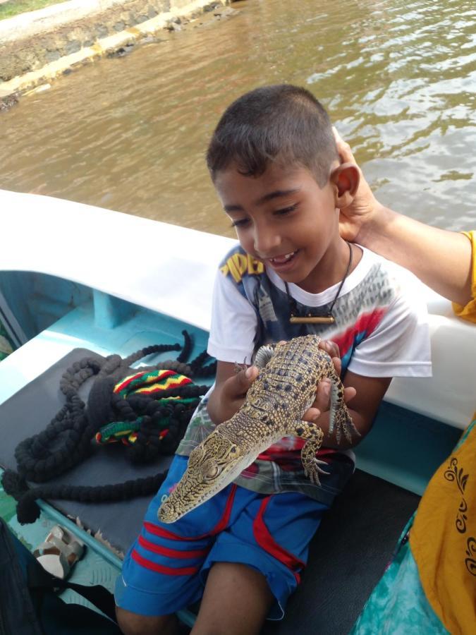 Star Home Stay Bentota Luaran gambar