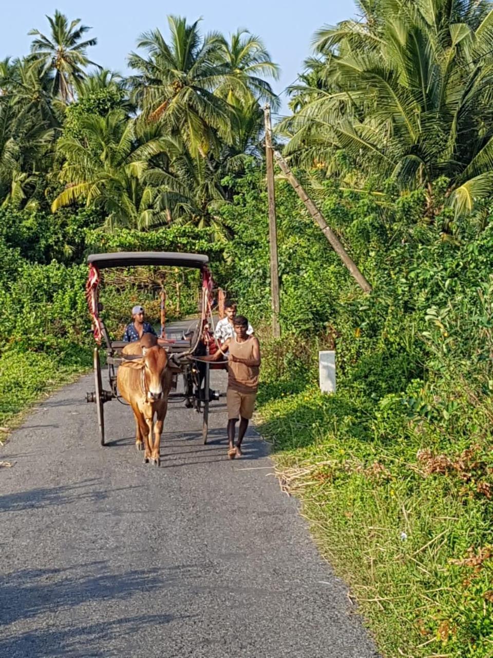 Star Home Stay Bentota Luaran gambar